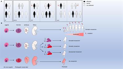 Monogenic Adult-Onset Inborn Errors of Immunity